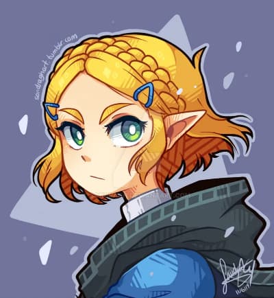 https://www.deviantart.com/sandragh/art/Zelda-BOTW2-857958569